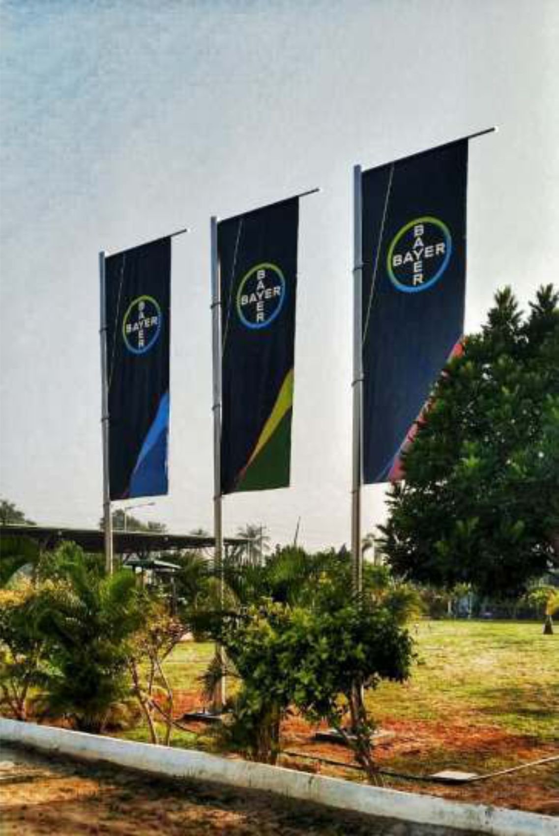 Bayer/Monsanto — corporate office spec