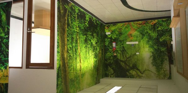 Lush jungle mural along an EdgeVerve corridor beside glass cabins.